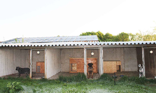 Гости